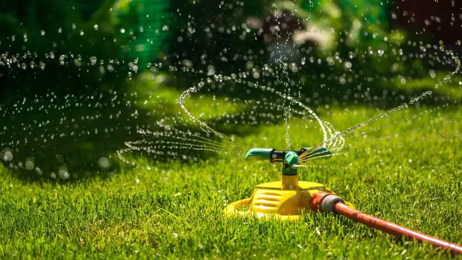 featured-image-irrigation.jpeg
