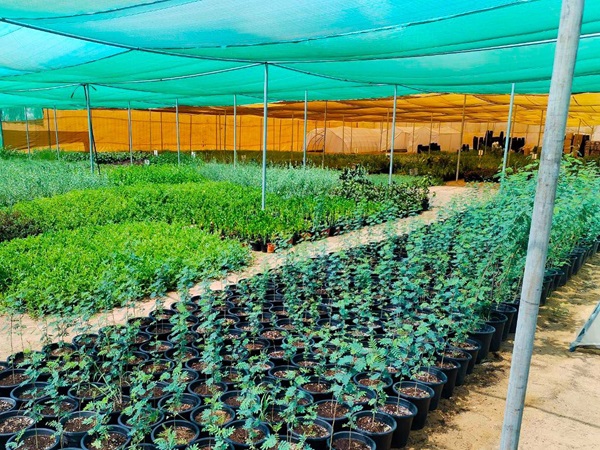 WhatsApp Image 2024-09-09 at 9.49.41 AM (1)