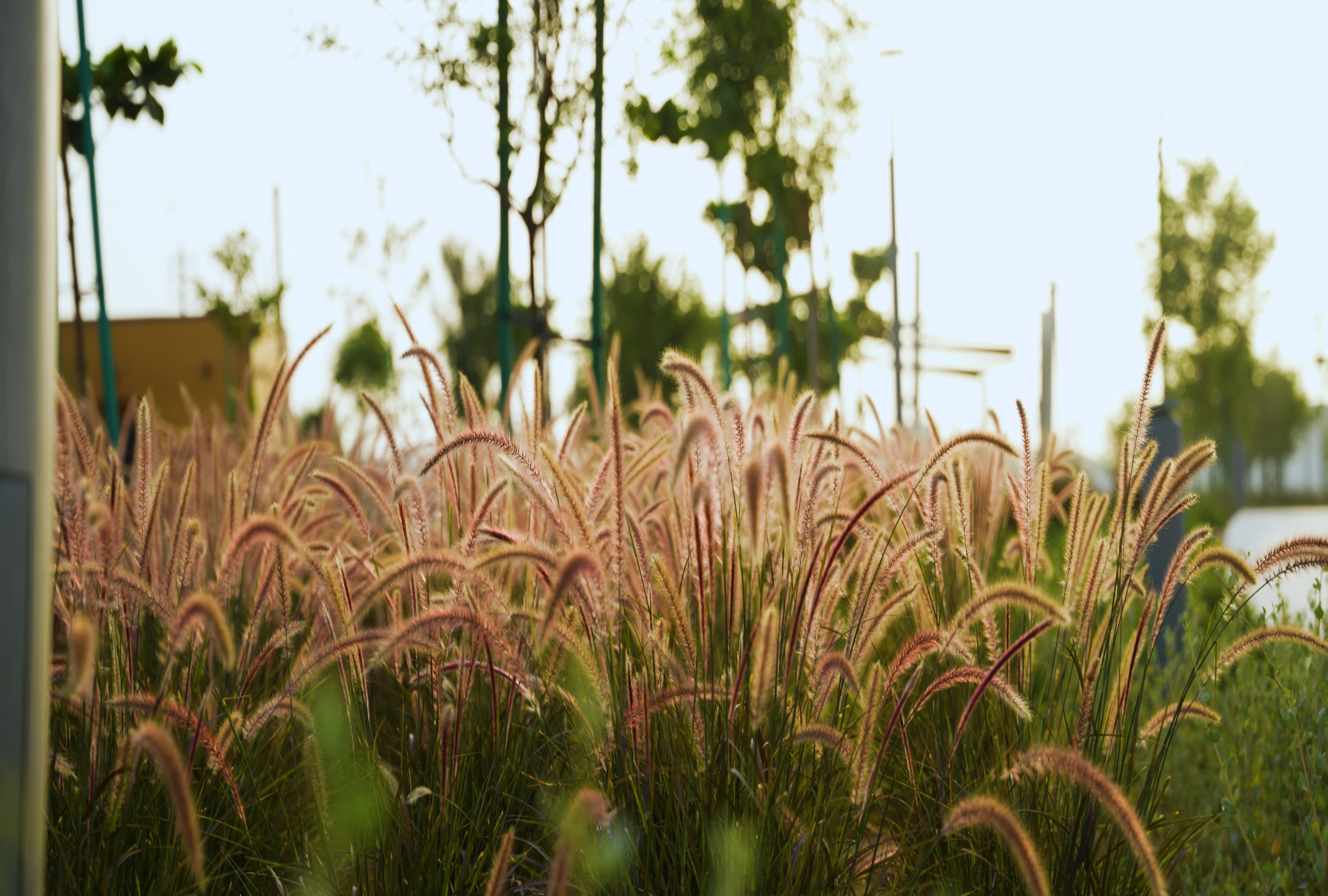 Screenshot 2025-07-22 172618